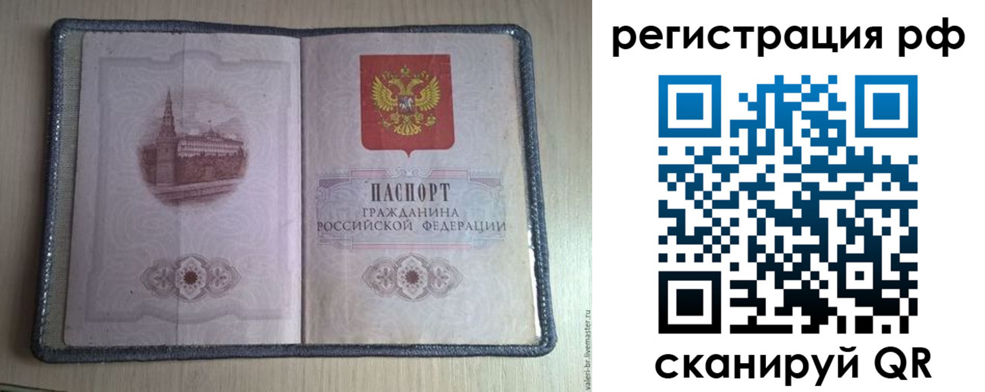 прописка поиск в Лесозаводске